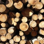 Logs